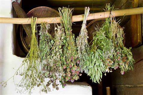 DryingHerbs:ANaturalPreservationTechnique