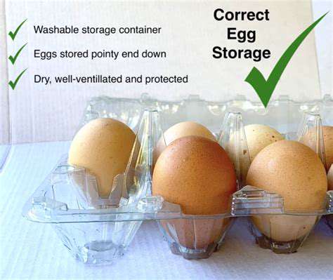 HandlingandUsingYourStoredEggs:TipsforOptimalQuality