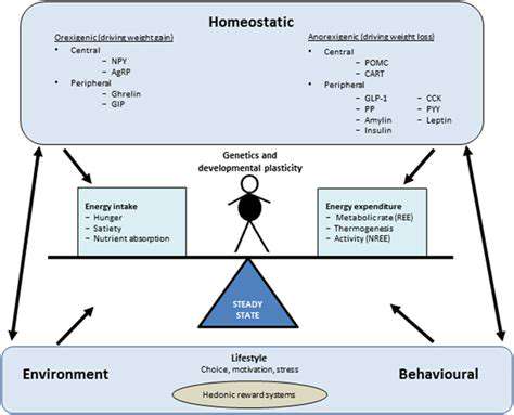 Protein'sImpactonWeightManagementandEnergyLevels