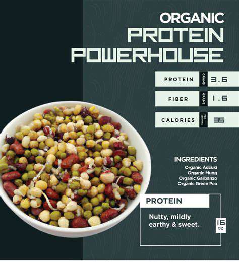 Seeds:TinyPowerhousesPackedwithProtein