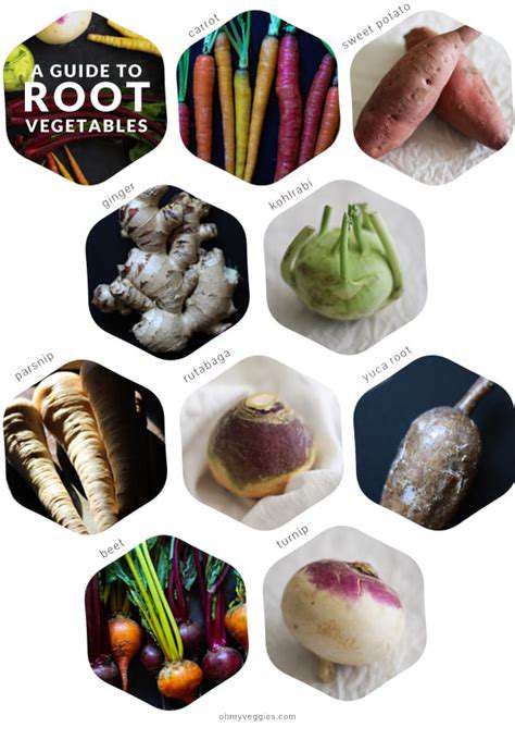 SpecificStorageTechniquesforDifferentRootVegetables