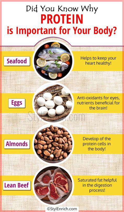The Importance of Protein in Your Diet