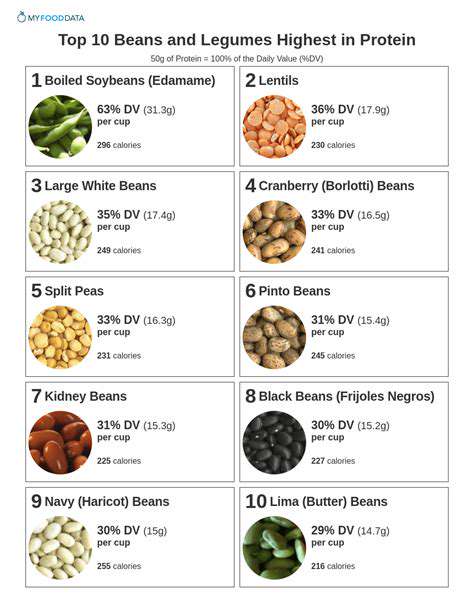 BeansandLegumesforProteinandFiber