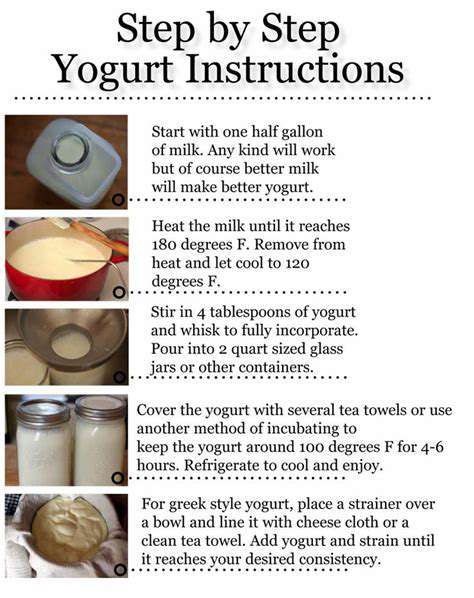 CraftingYourYogurt:AStep-by-StepGuide