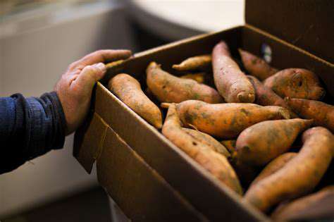 MaintainingSweetPotatoQualityDuringStorage