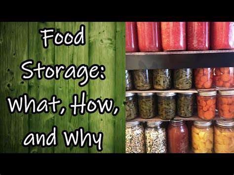 ProperStorageTechniquesforLong-TermPreservation